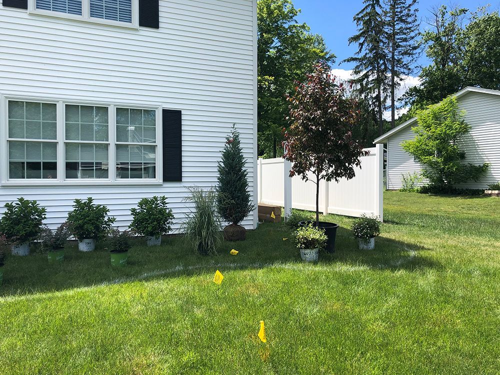 A white house with a lot of potted plants in front of it