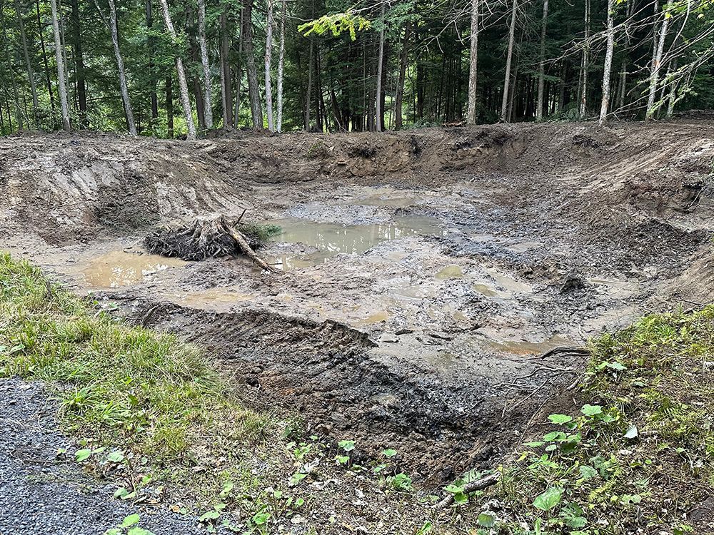 A muddy pond in the middle of a forest with trees in the background.