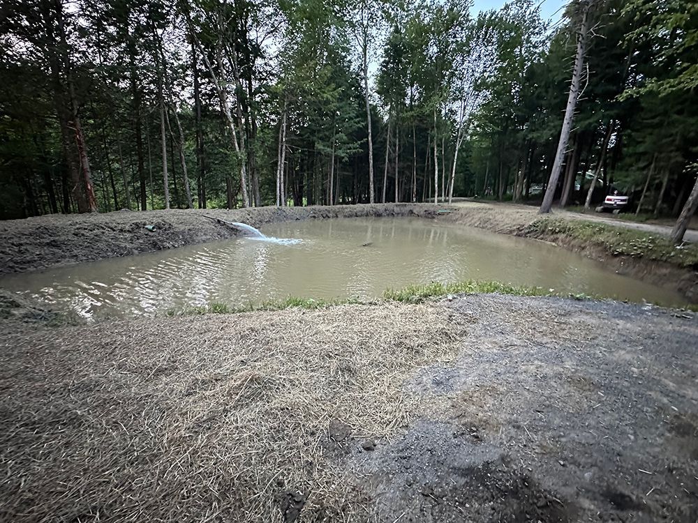 A small pond in the middle of a forest with trees in the background.