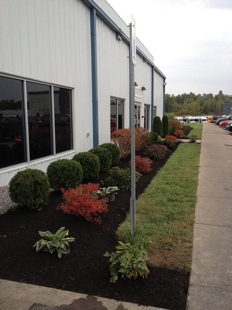 A building with a lot of windows and bushes in front of it