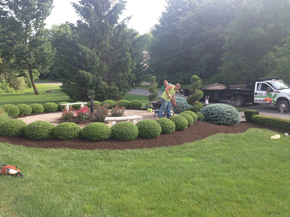 A man is standing in the middle of a lush green lawn next to a truck.