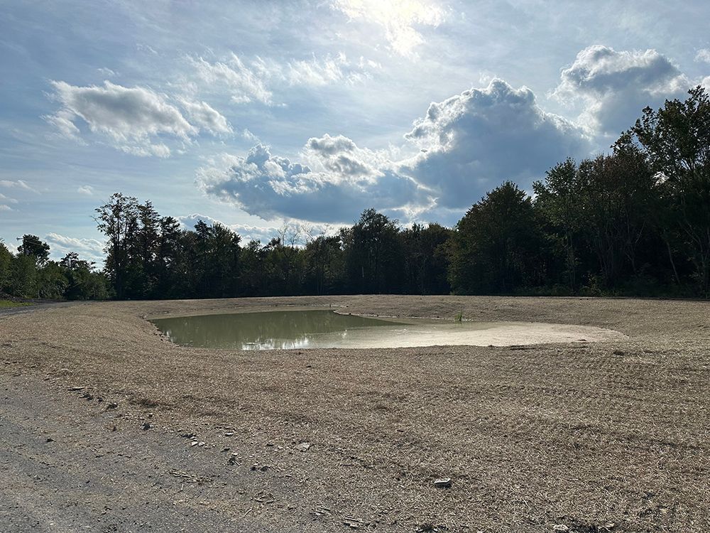 A small pond in the middle of a dirt field with trees in the background.