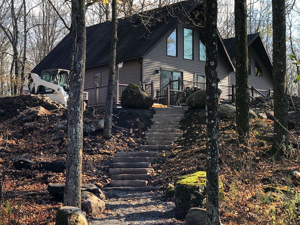 A house in the middle of a forest with stairs leading up to it