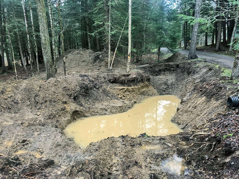 A muddy pond in the middle of a forest with trees in the background.
