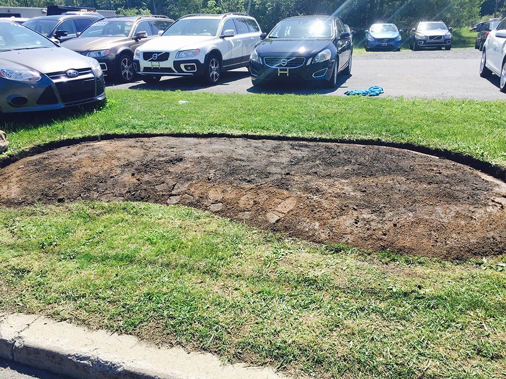 A lot of cars are parked in a parking lot.