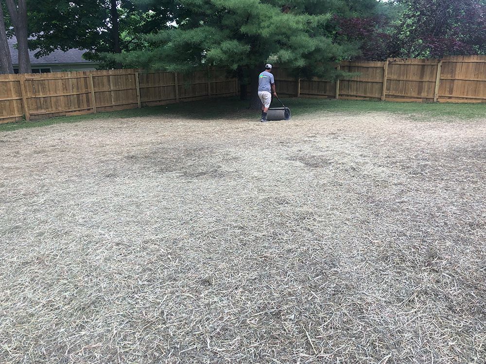 A man is mowing a lawn with a lawn mower in a backyard.