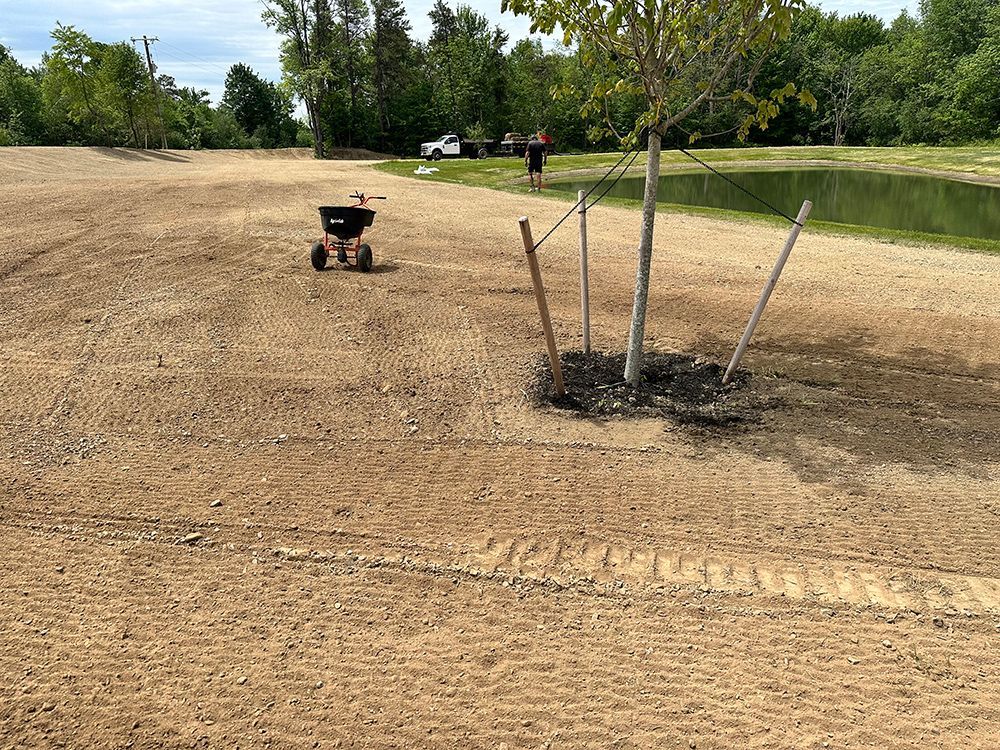 A wheelbarrow is sitting in the middle of a dirt field next to a tree.
