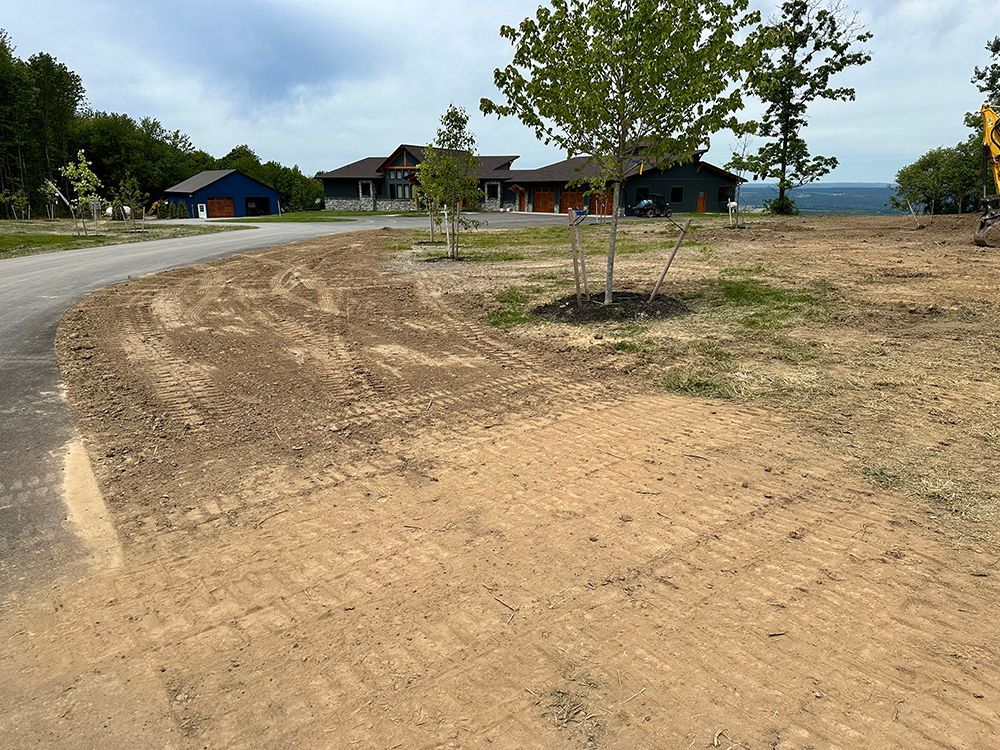 A dirt field with a house in the background and a tree in the middle.