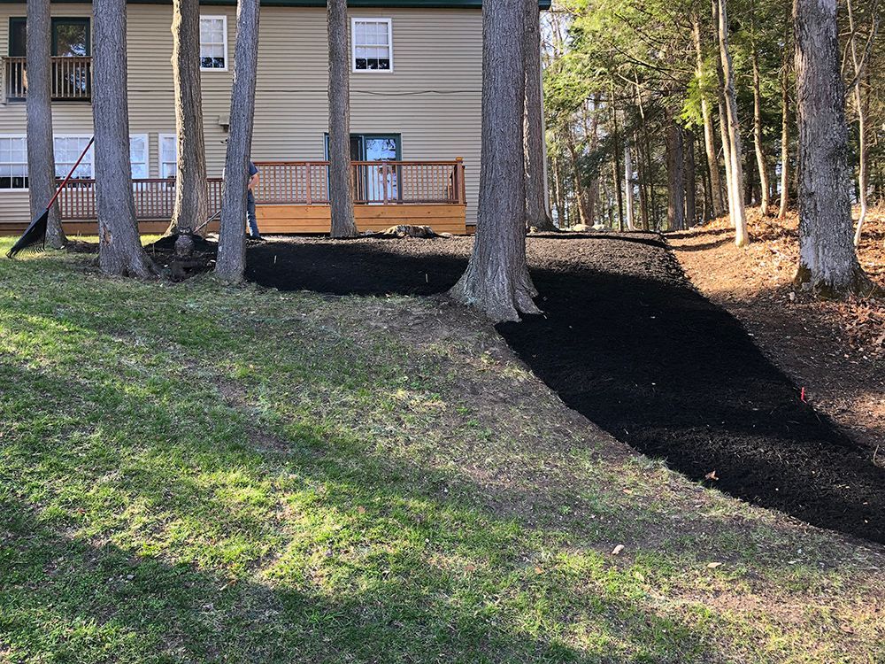 A house with a wooden deck is surrounded by trees