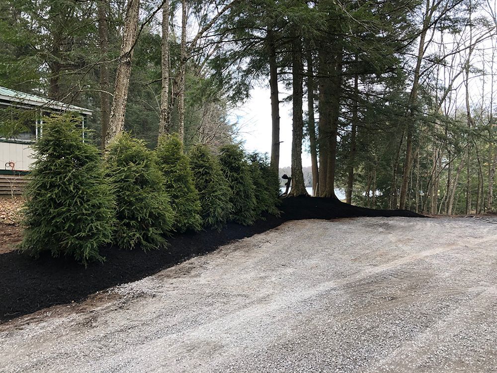 A gravel driveway surrounded by trees and bushes.
