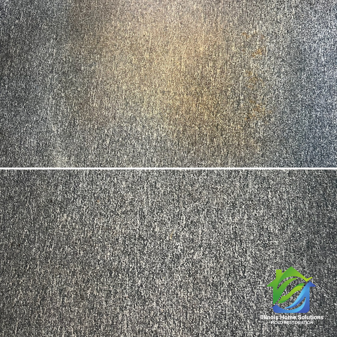 floor cleaning before and after