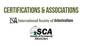 ISA and SCA logo