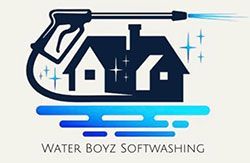 Waterboyz Softwashing- logo