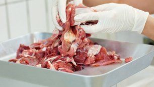 Grind meat