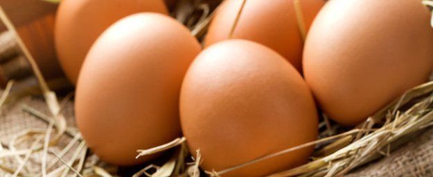 Eggs