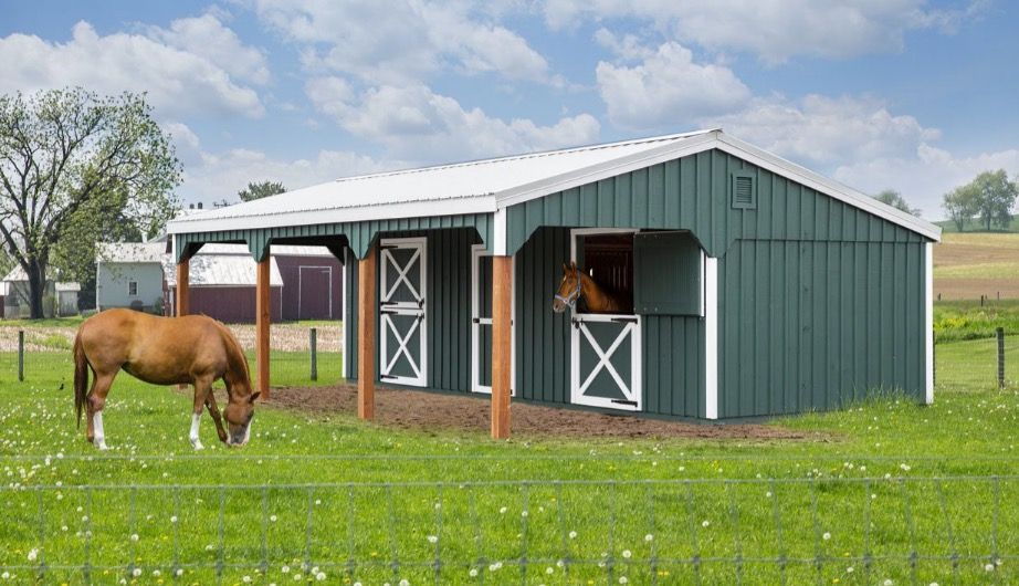 Green horse barn with a grazing brown horse in the foreground