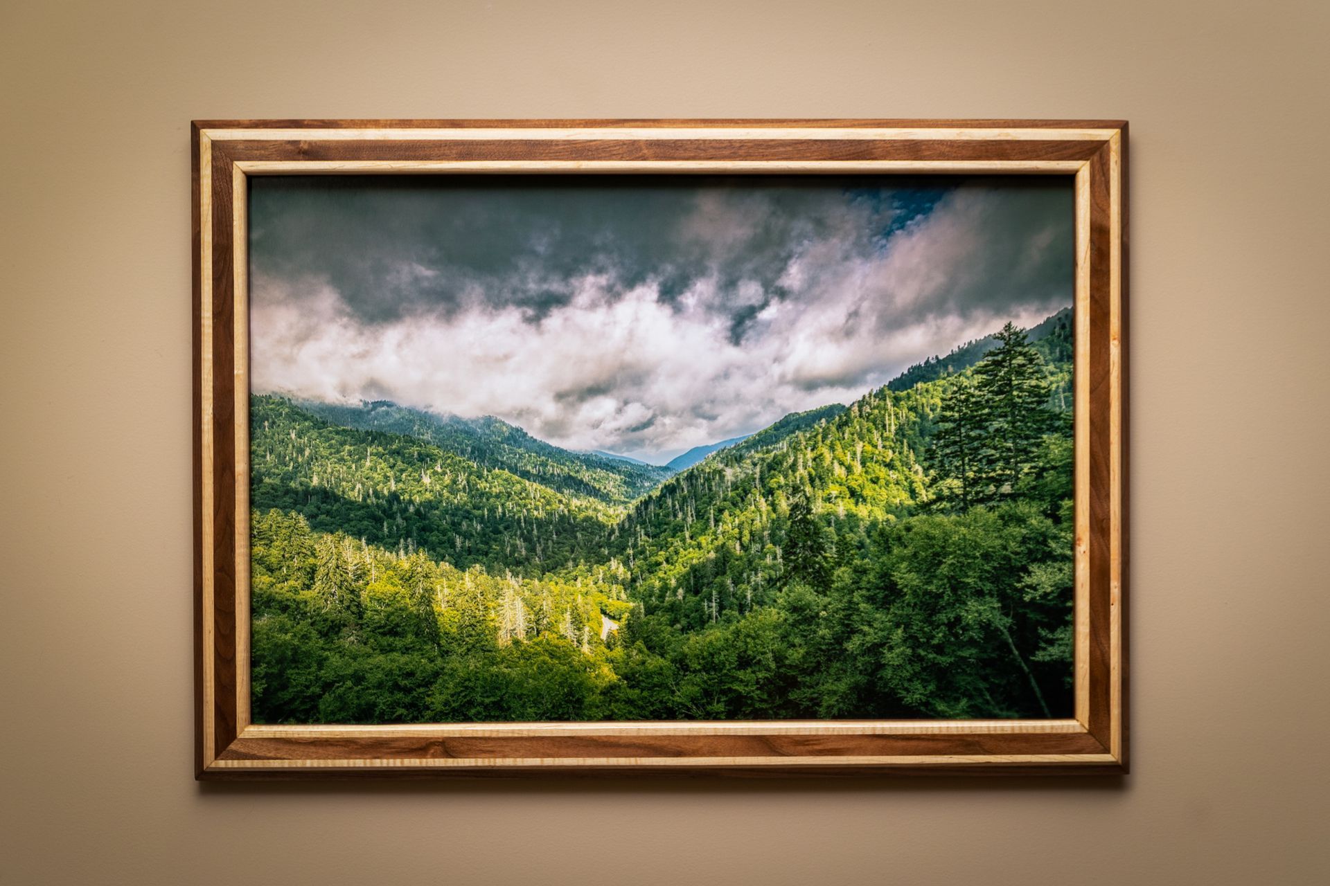 A framed landscape photo of dense green mountains under a dramatic, cloudy sky, mounted on a neutral-colored wall.