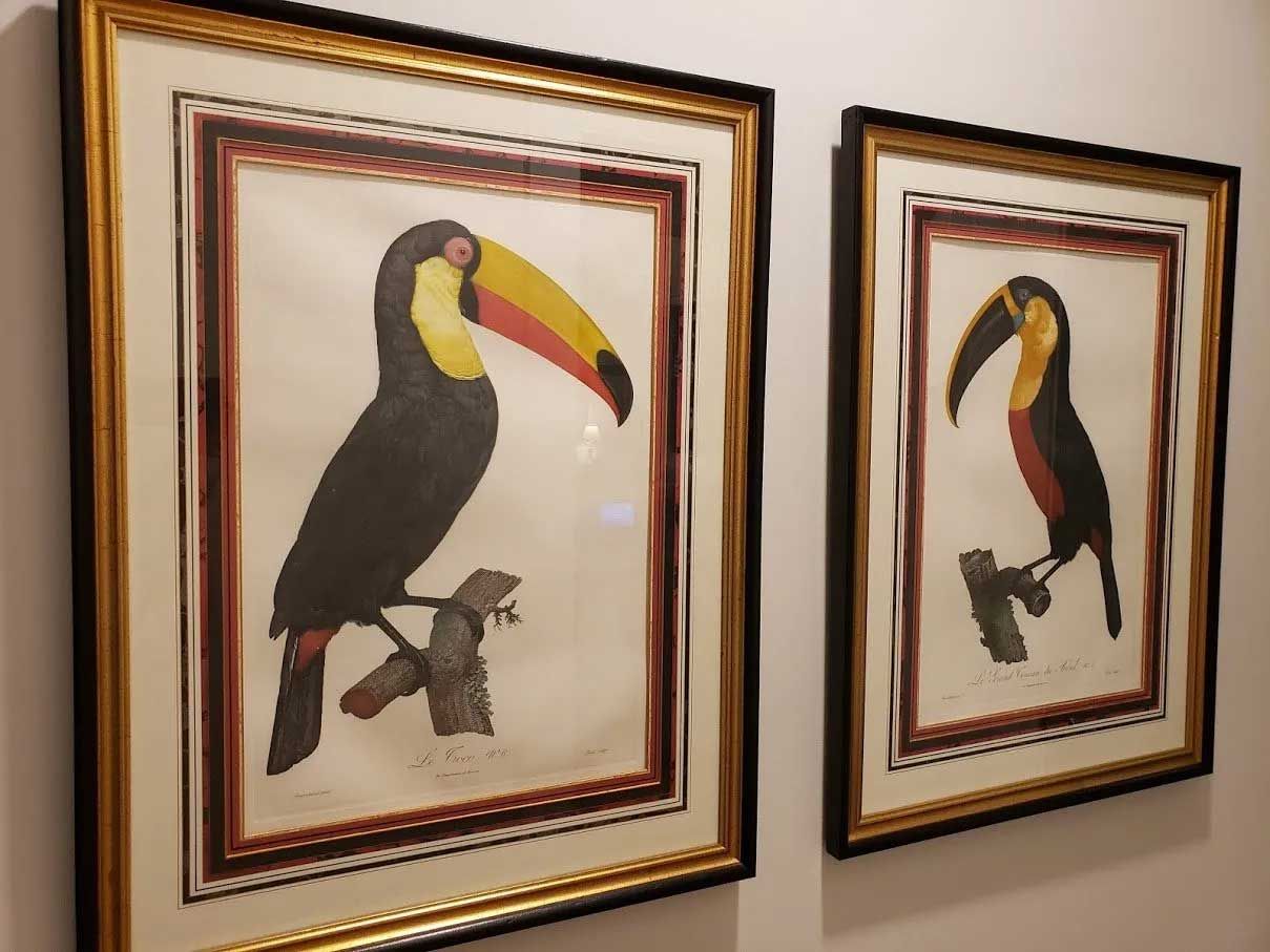 Two framed art prints of toucans with bright yellow and orange beaks, mounted on a plain white wall.