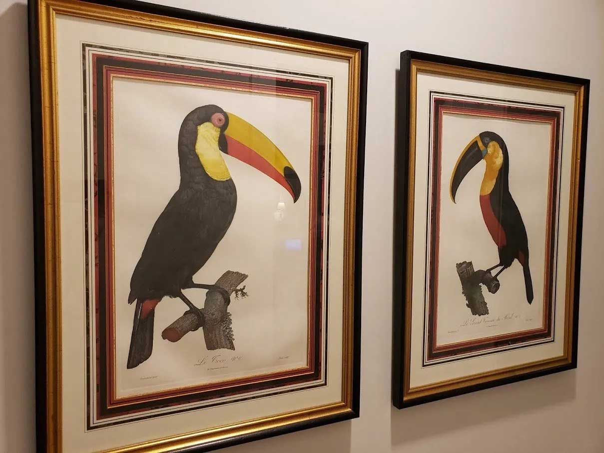 Two framed, gold-bordered art prints of toucans hanging side by side on a plain wall.