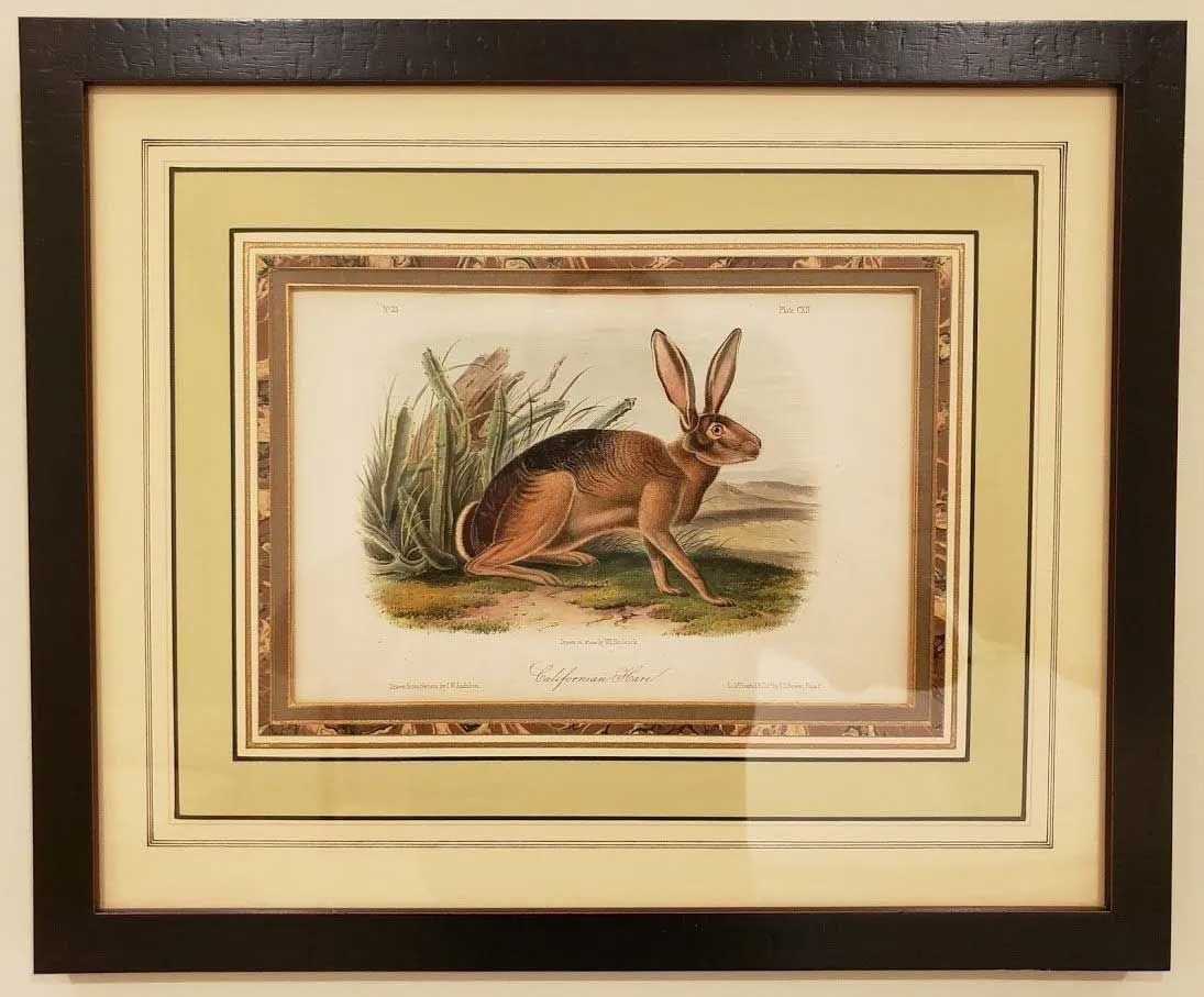 A framed antique-style print of a hare in profile, set against a grassy background with a light border and dark frame.