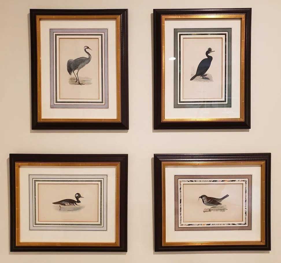 Four framed prints of birds arranged in a grid against a neutral wall. Each features a single bird on a light background.