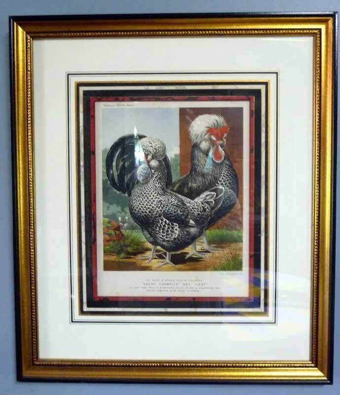 Framed vintage print featuring a pair of Silver Spangled Polish chickens in a grassy outdoor setting.