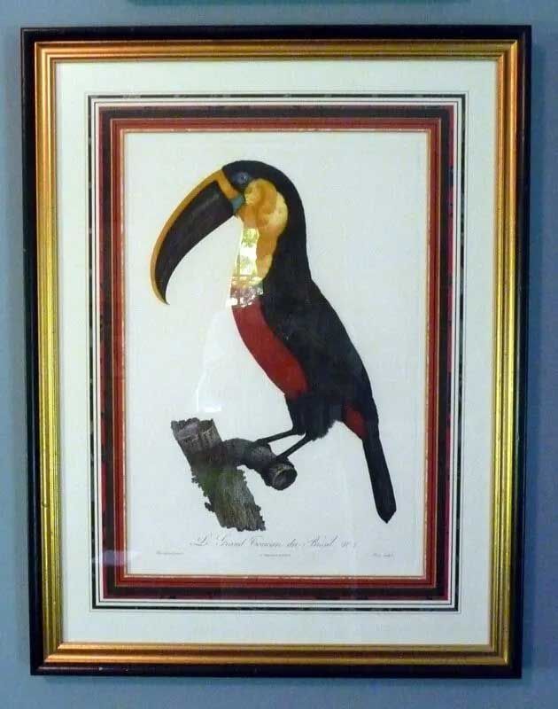 Framed vintage print of a toucan with a large black beak, yellow throat, and red chest, perched on a branch.
