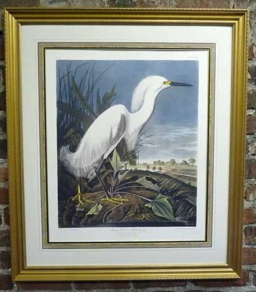 A framed print of a white egret standing in a marshy landscape, set against a dark blue sky and foliage.