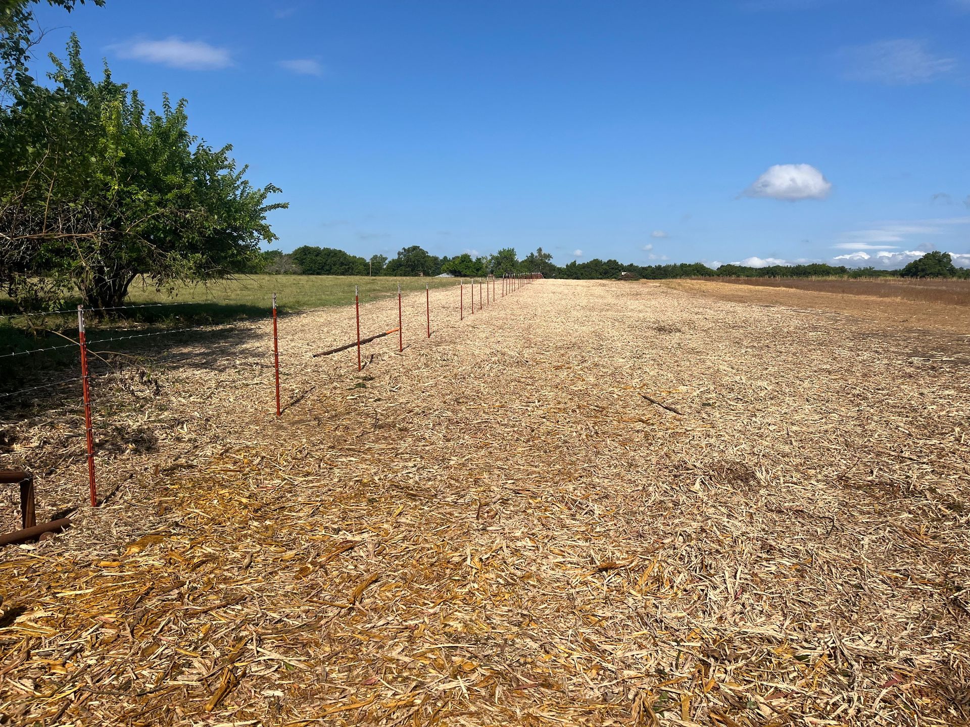 A field with a fence and trees in the background
