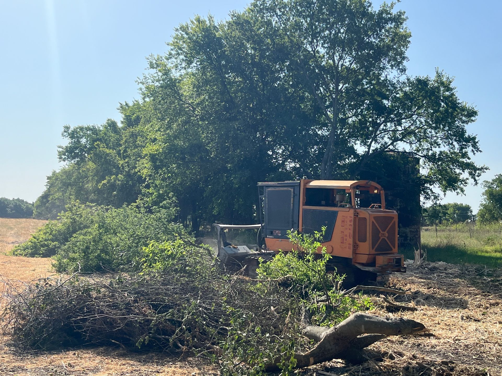 A large tree is being cut down by a machine in a field.