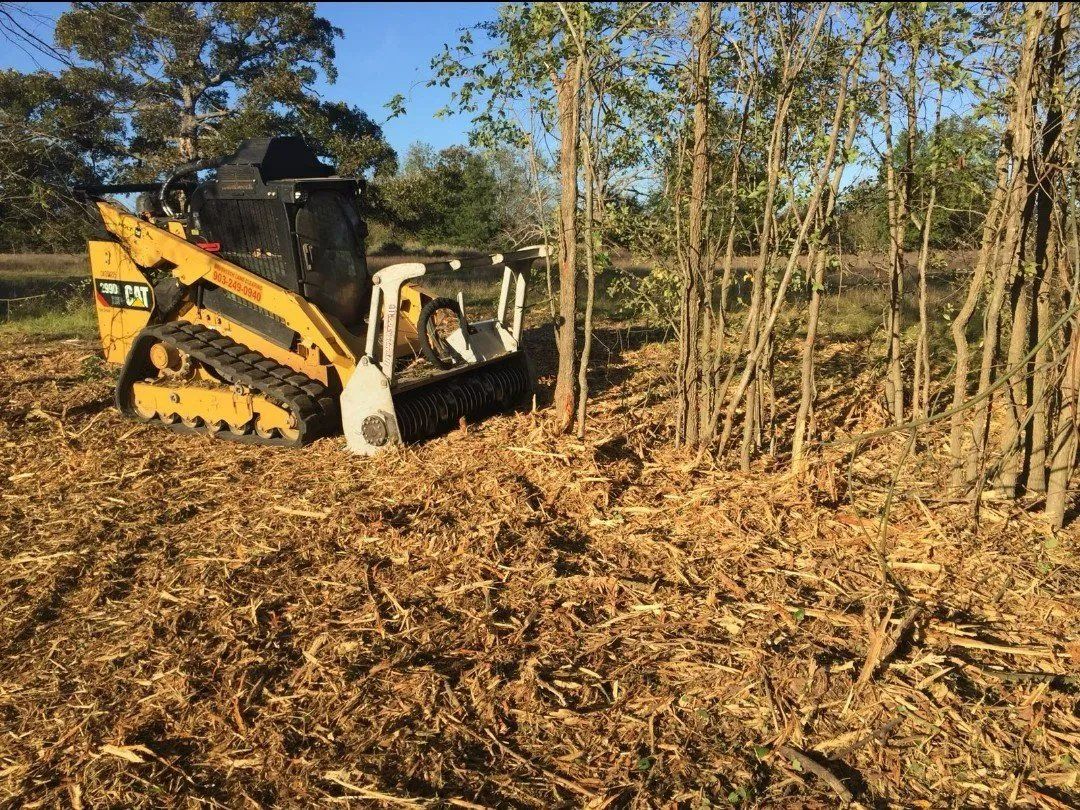 Forestry mulching