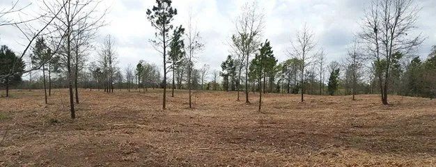 Land clearing