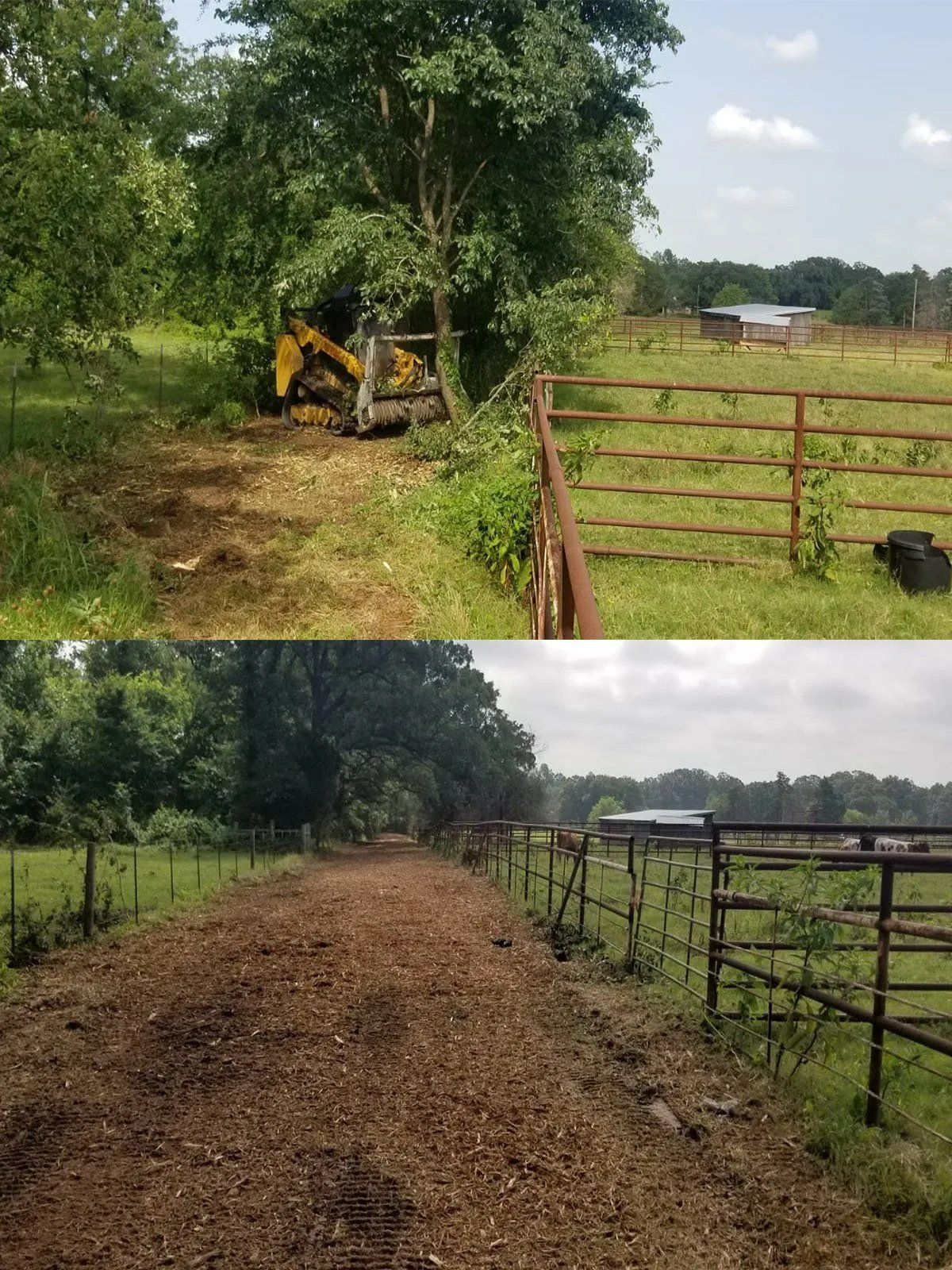 Before and after land clearing