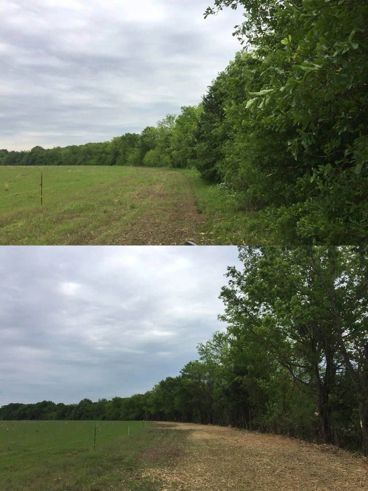 Before and after land clearing