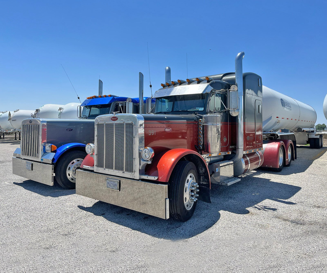 Wishall Transport