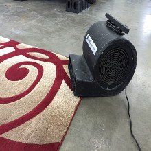 rug cleaning service