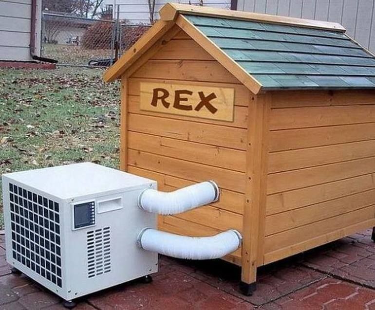 A wooden dog house with rex written on it