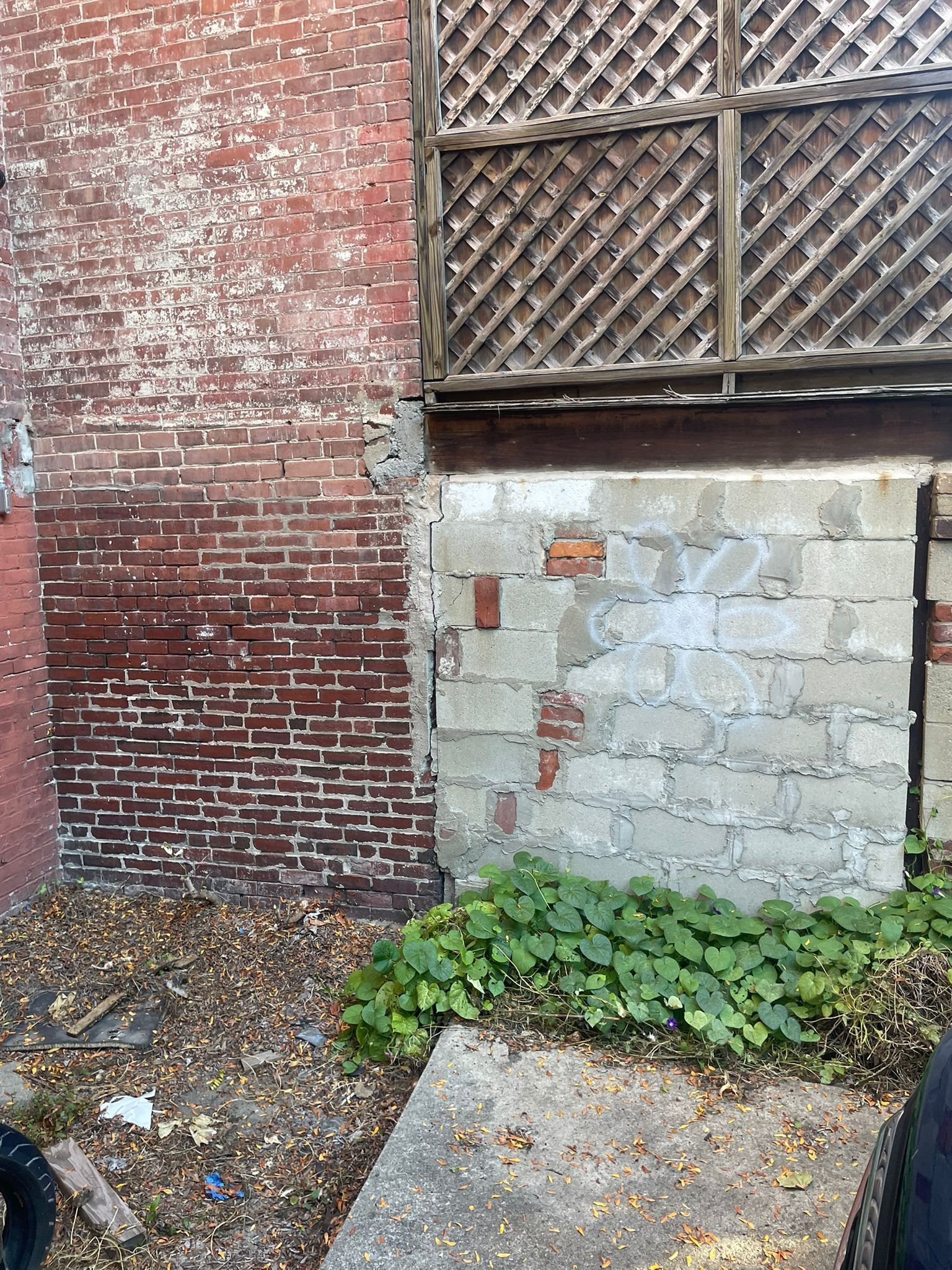 Brick wall, concrete blocks, wooden trellis, and ground covered in leaves, with greenery at the base.