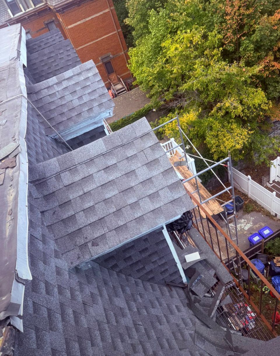 Roof with shingles; scaffolding and trees in the background. Construction in progress.