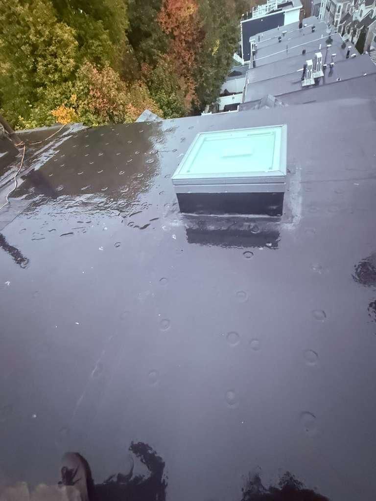 Black rooftop with standing water, a skylight, and a distant cityscape under autumn trees.
