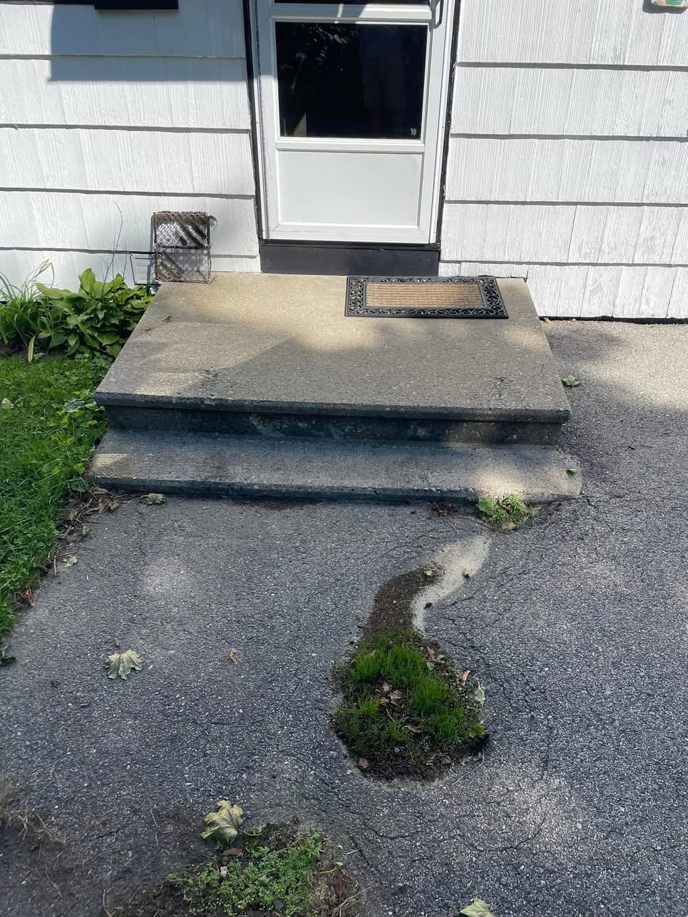 Concrete steps and path leading to a white door. Vegetation grows in cracks.