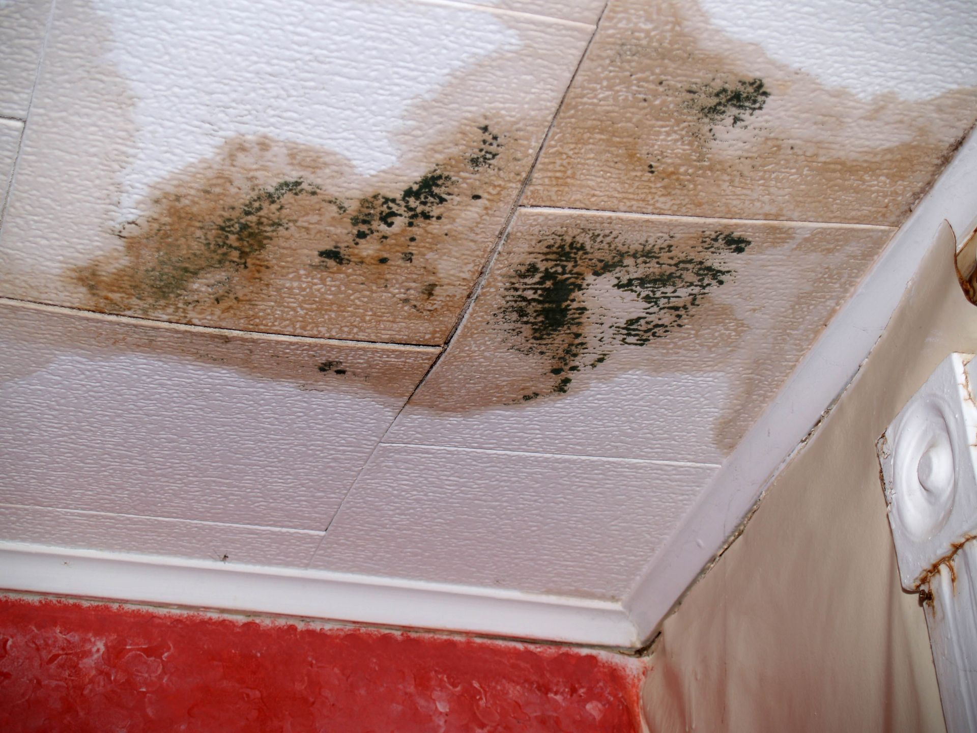 water damage restoration