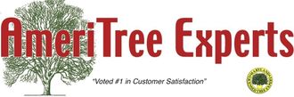 Tree Removal Baltimore, MD | AmeriTree Experts