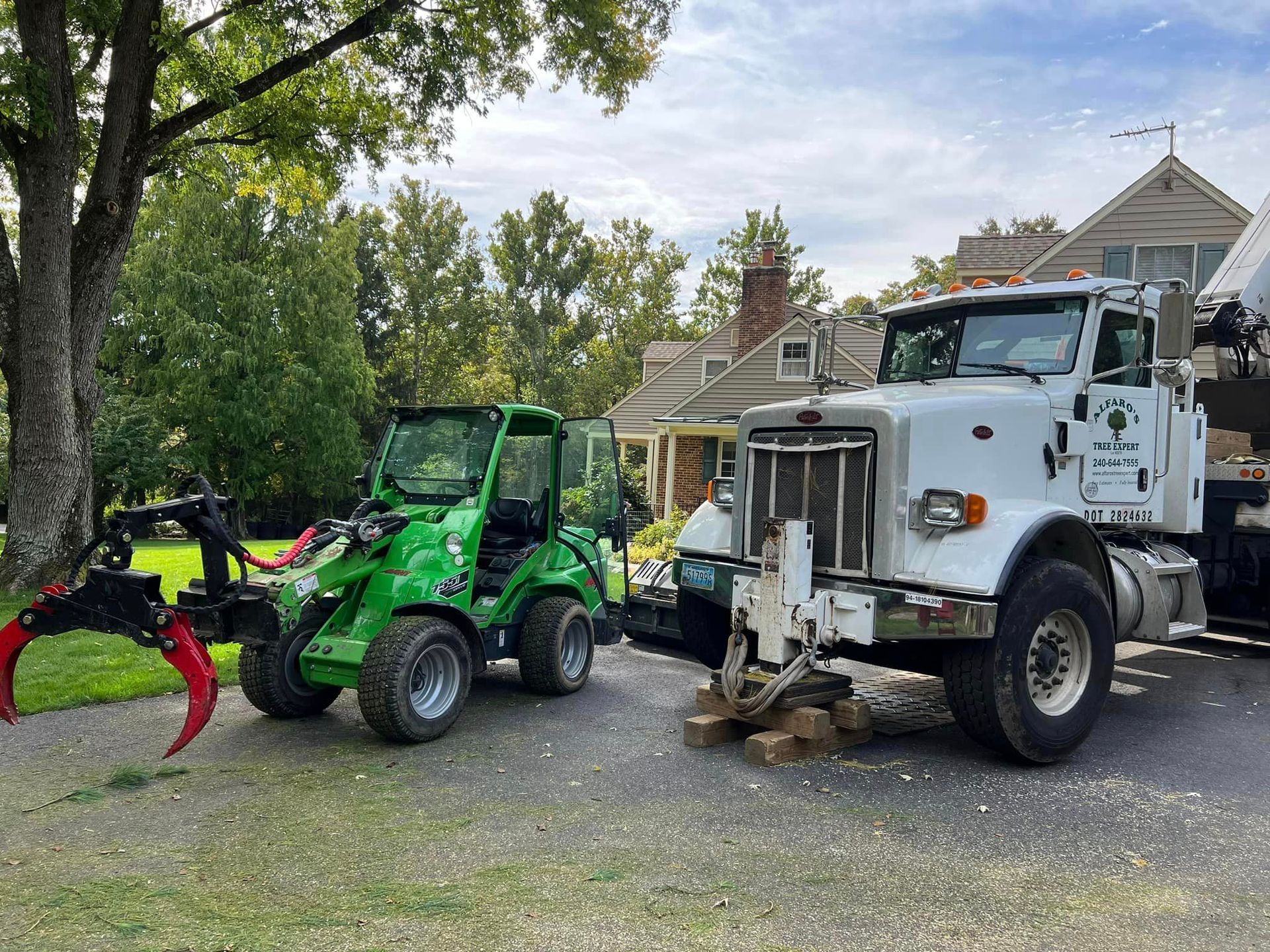 Tree services