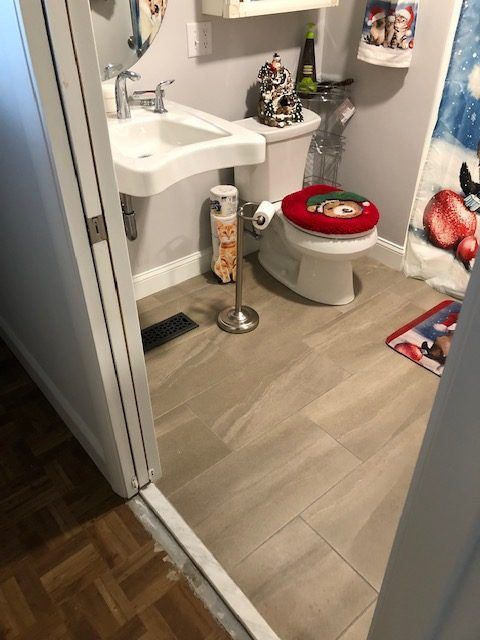 My Dear Watson Handicap Accessible Shower1