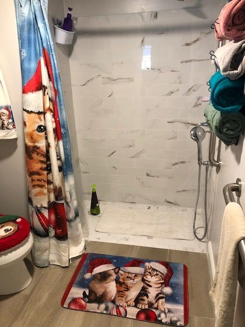 My Dear Watson Handicap Accessible Shower7