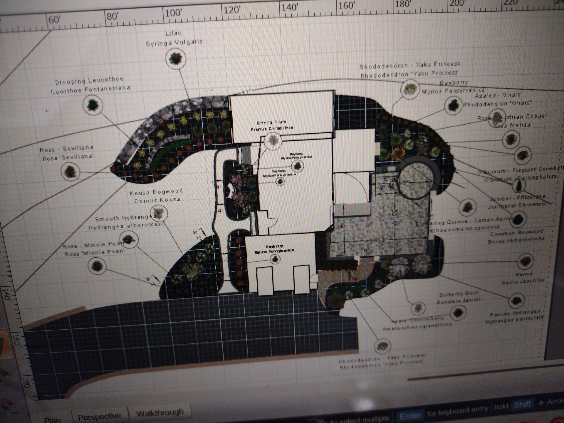 Architectural site plan with curved dark shapes, labeled callouts, and grid lines on a white background