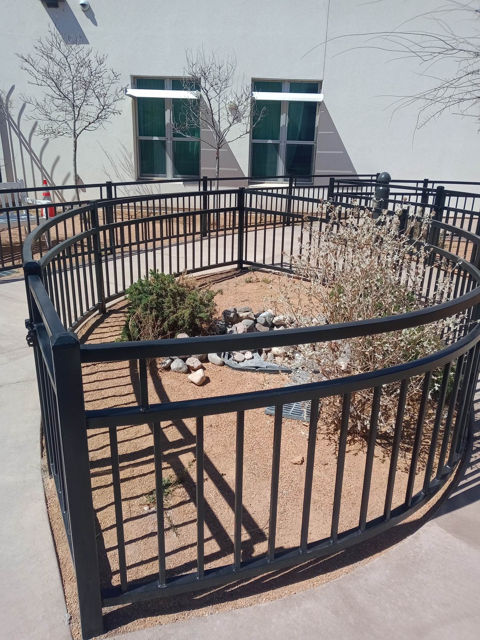 Black metal fence encloses a small garden with plants and rocks against a building with windows.