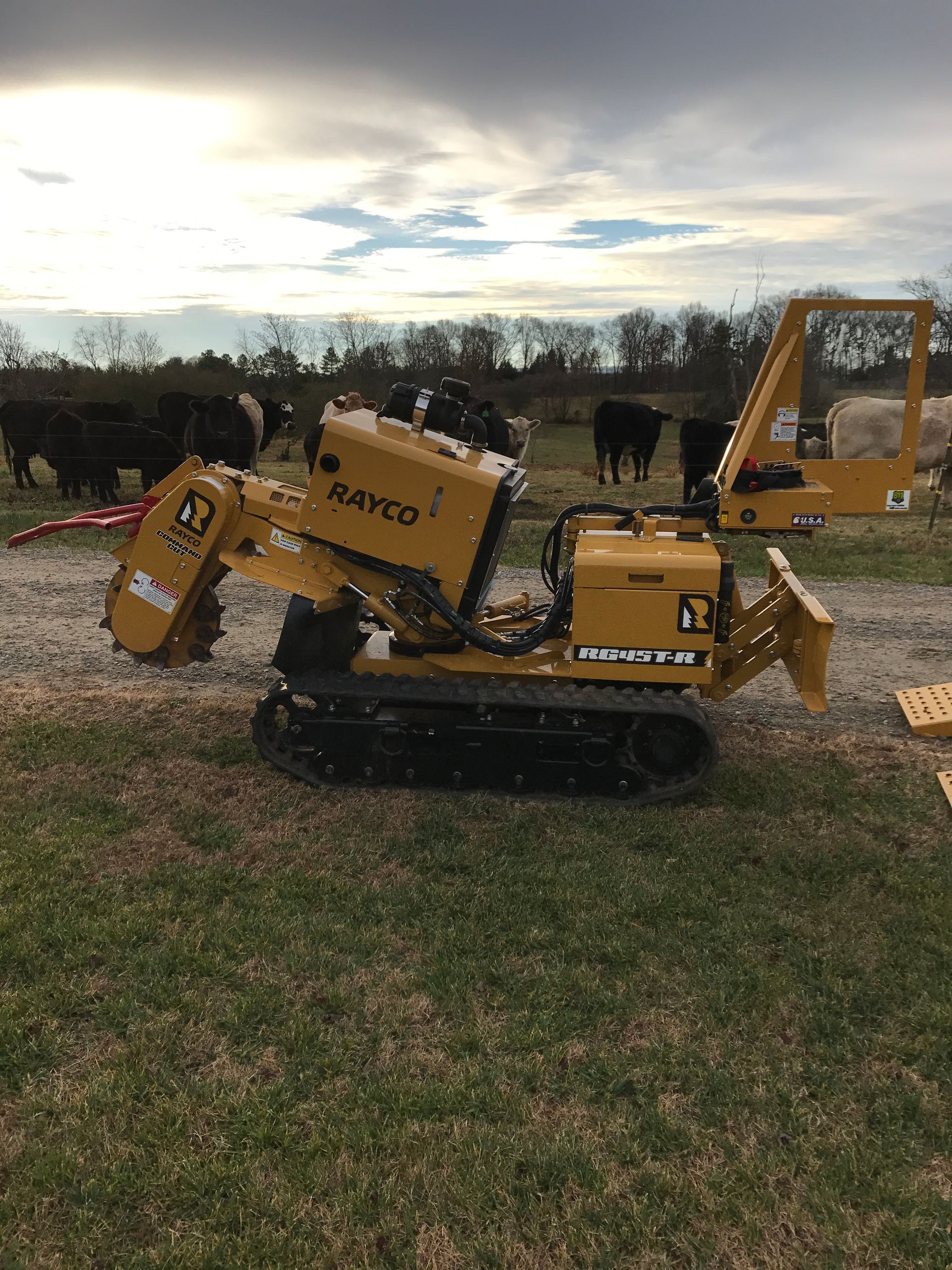 Tree removal service