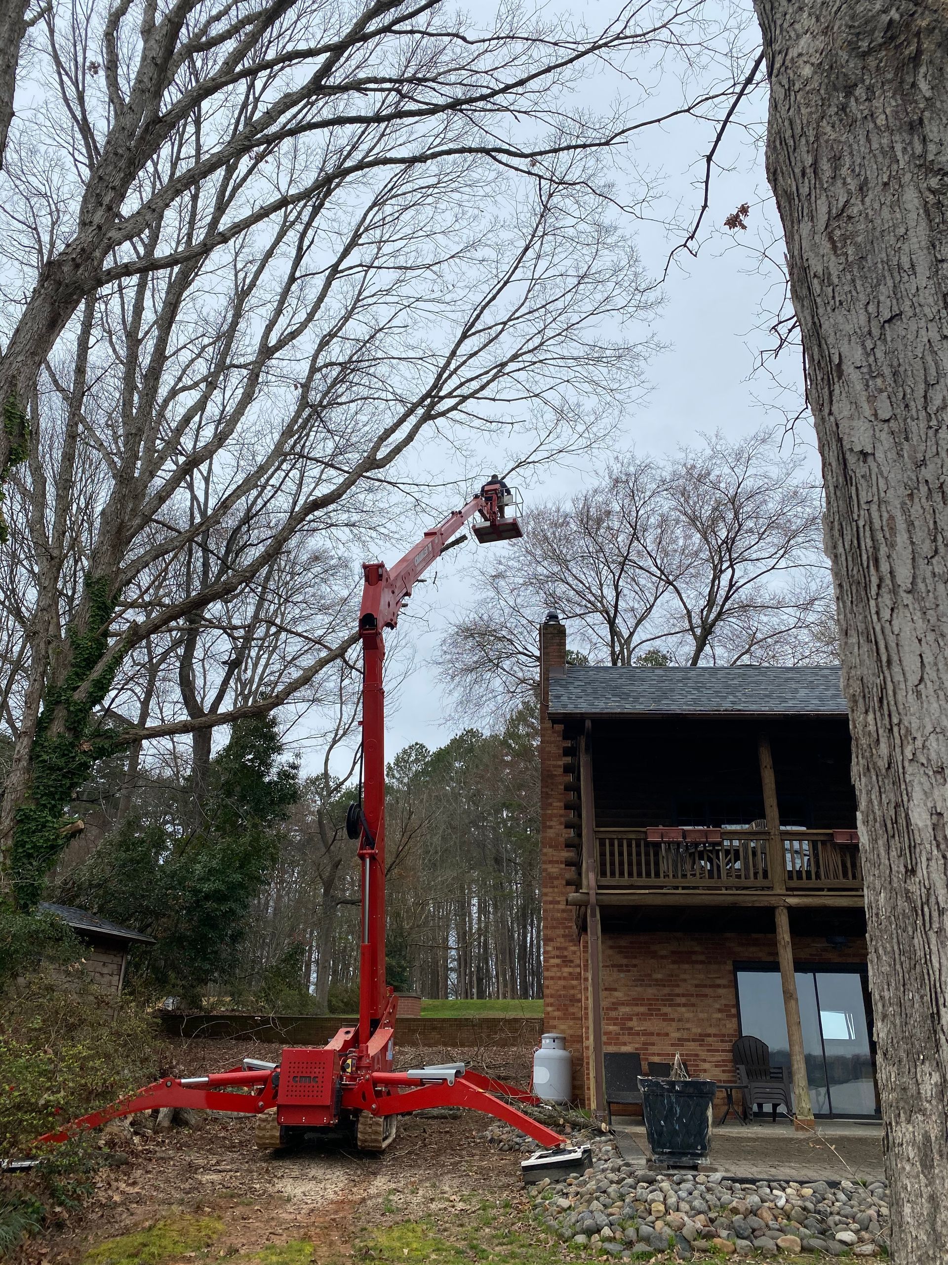 Emergency tree removal